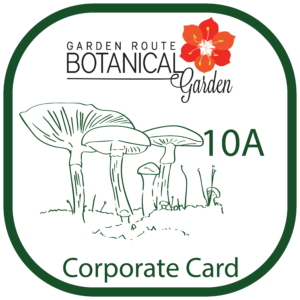 Garden Route Botanical Garden