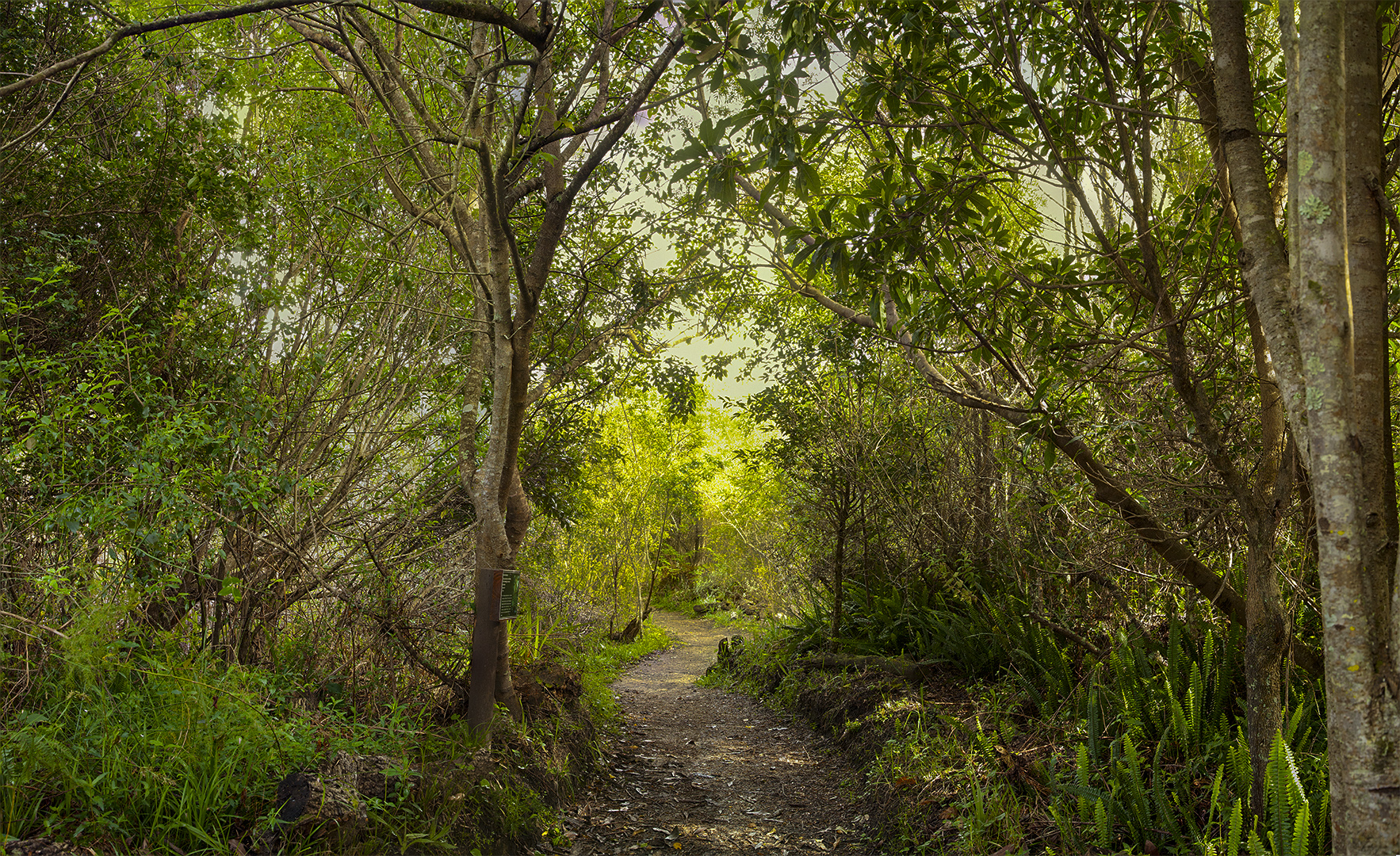 Garden Route Botanical Garden