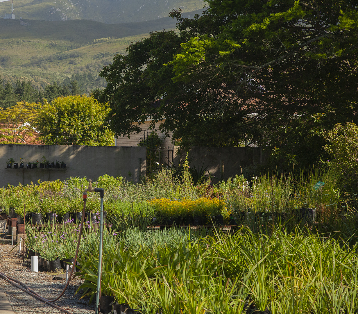 Garden Route Botanical Garden