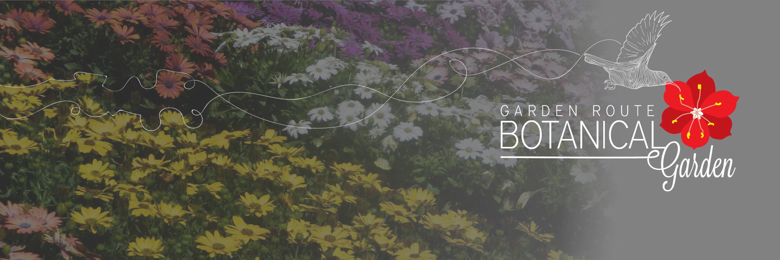 Garden Route Botanical Garden